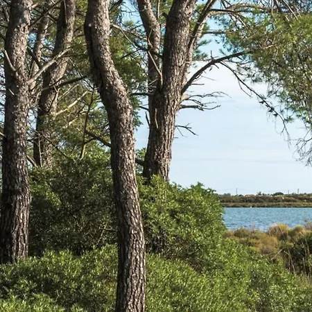Mas Au Bord De L'etang *