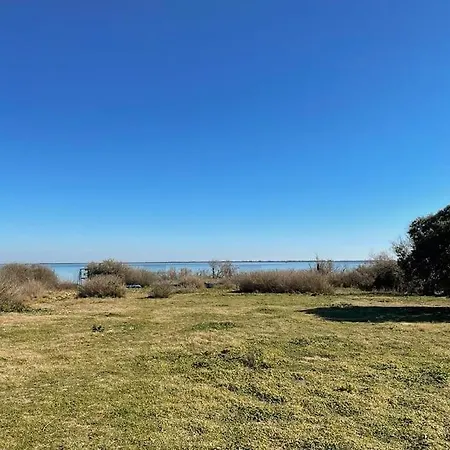 Mas Au Bord De L'etang * Vic-la-Gardiole