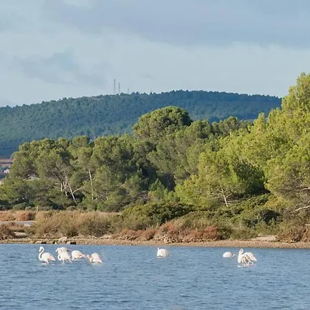 Mas Au Bord De L'etang Villa