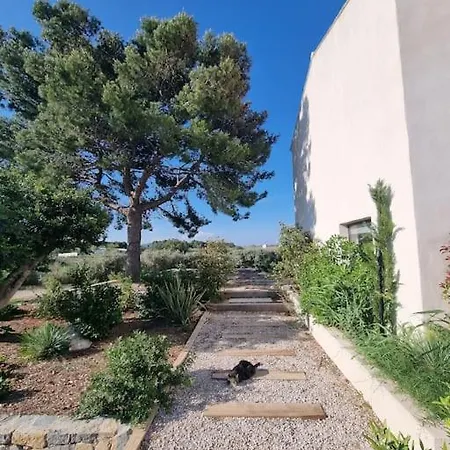 Villa Mas Au Bord De L'etang Vic-la-Gardiole